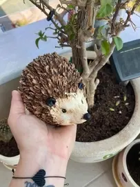 Sweet Gardenfriend