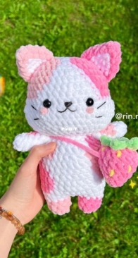 Rin.meow 21 -  cat - English