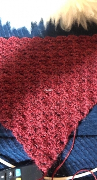 Red Shawl