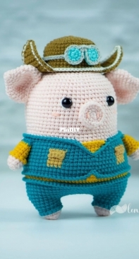 Lennutas - Nutas Nguyen - Piggy the Aviator  - English
