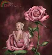 HAED HAERAET 3104 Charmed Rose by Rachel Tallamy