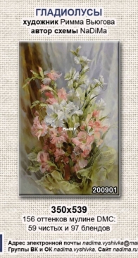 NaDiMa - 200901 Gladioli