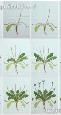 [wall-art-project] The 3rd - Dandelion