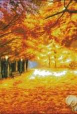Dome 120901 - Autumn Forest