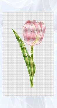 Tulip by Dasha Benzeva