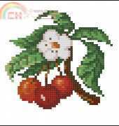 Cherries from Hafty Polskie 2009 - 12 XSD