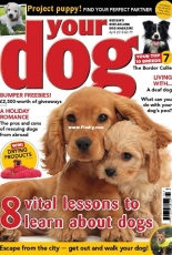 Your Dog - April 2018