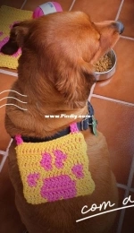 Atelie Pingouin - Cristine Lobato - Dog Bag  - Bolsinho  Dog - Portuguese - Free