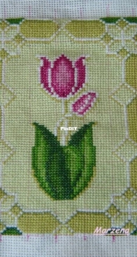 Solaria gallery .Spring Tulips