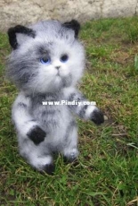 fluffy cat