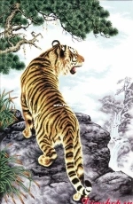 Dome 91003 - White Tiger XSD