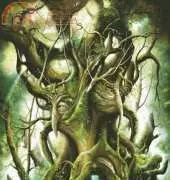 HAED HAEJHS 146 Enchanted Woods by John Shannon