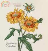 The Lilac Studio 17 - Sunflowers