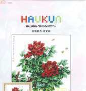 Haukun H-120