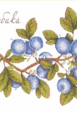 M.P. Studio HB-617 - Gifts of Nature - Blueberry
