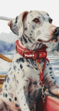 Luca-S BU5039 The dalmation on Lake Como XSD