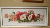 Poppies of Merejka k-33