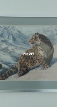 Snow leopard