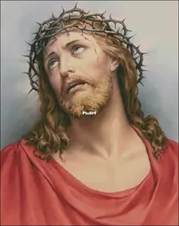 Crown of Thorns by Elena Petrova - Free
