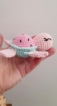 Turtle
