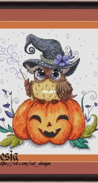 Witch Owl by Olesia Gavrilova