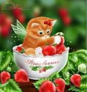 HAED HAEDMED 12354 Strawberry Kitten by Melissa Dawn