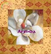 Arxinda - Magnolia 2
