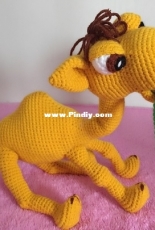 Ildikko - Quasimodo the Camel by Wendy