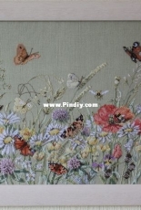 Flowers & Butterfly
