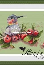 Alveigs Stitch - Hummingbird by Ekaterina Ramaykina