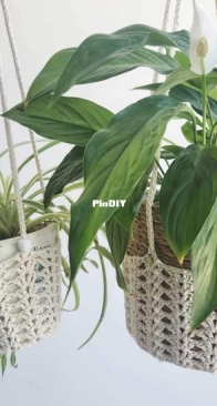 Made by Gootie - Agat Rottman-Cassel - Iris Plant Hanger