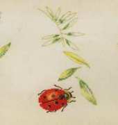 DMC XC1001 Ladybirds