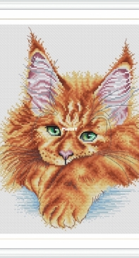Maine Coon (green eyes) by Alla Erokhova