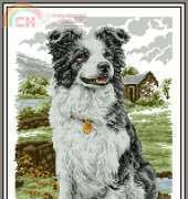 Border Collie from Cross Stitch Gold 99 XSD