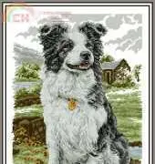 Border Collie from Cross Stitch Gold 99 XSD