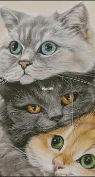 Three cats by Tatyana Cholodenko XSD