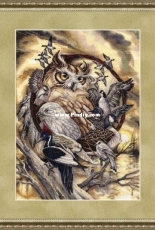 Zolotoe Runo ZR LS-001 - Birds Council