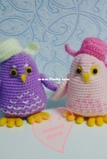 baby owl