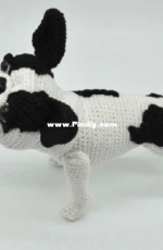 Hugles - Iryna Tyler - French Bulldog