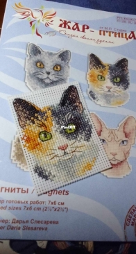 My magnet cat :-)
