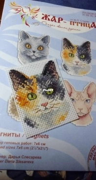 My magnet cat :-)