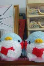 Couples penguins