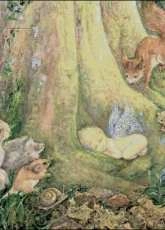HAED HAEJW 41035 Woodland Wonder Josephine Wall