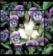 Cross My Heart CSB-282 Spring Cat XSD