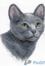 Panna F-1815 - Russian Blue Cat