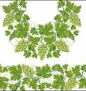 Diana Plus B-2061 White Grapes XSD