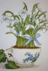 Dainty spring