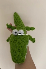 Croc by Amanda Berry