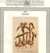 Ginger & Spice 8506 - Ginger