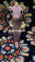 Seahorse